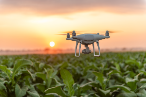 IA drone et agriculture AI drone in agriculture